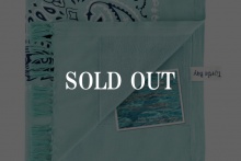 RUG&TOWEL PAISLEY Pool Green